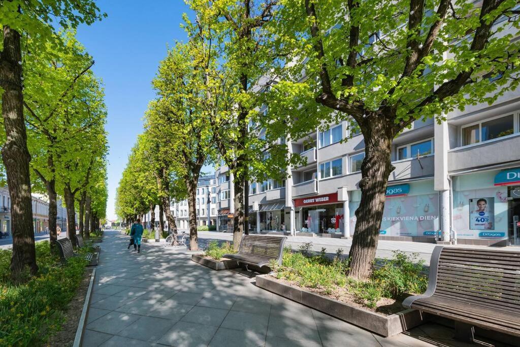 Central 2 Bd Apartment By Hostlovers Kaunas Luaran gambar